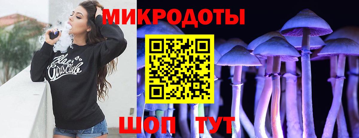 Псилоцибиновые грибы Psilocybe Богородск